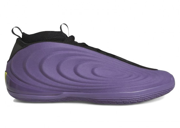 adidas Harden Vol. 10 Matte Purple - JQ9426