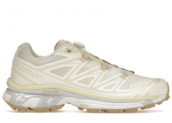 Salomon Beige XT-6 Sneakers - L41751800