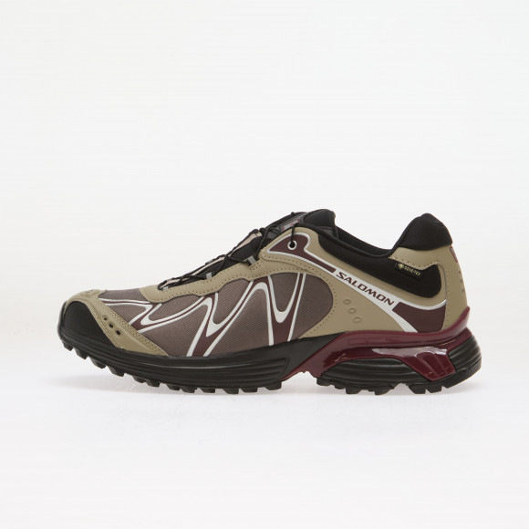 Sneakers Salomon XT-WHISPER GTX Silves/ Huckle/ Maroob - L45397500
