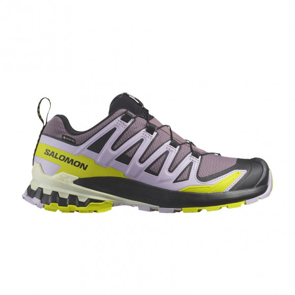 Salomon Wmns XA Pro 3D V9 GORE-TEX 'Moonscape Orchid Petal Sulphur' | Grey | Women's Size 7 - L47469500