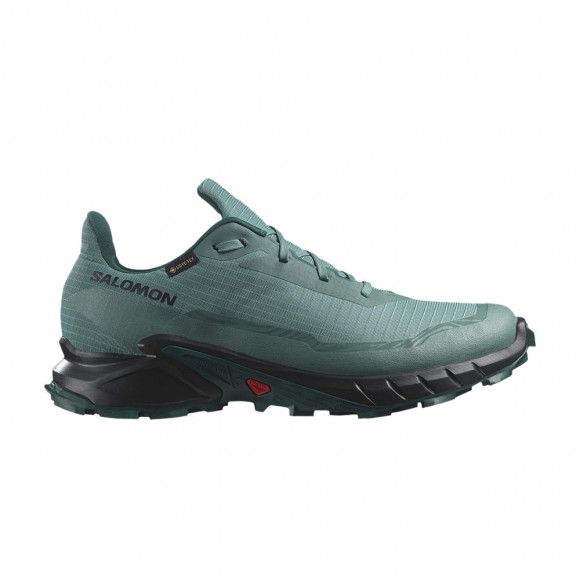 Salomon Alphacross 5 GORE-TEX 'Sea Moss Black' | Green | Men's Size 8.5 - L47595000