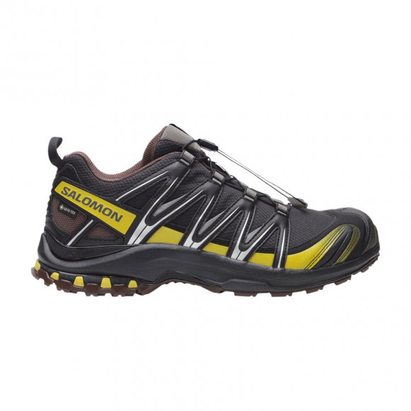 Salomon XA Pro 3D GORE-TEX 'Cress Green French Roast' | Black | Men's Size 8.5 - L47867800