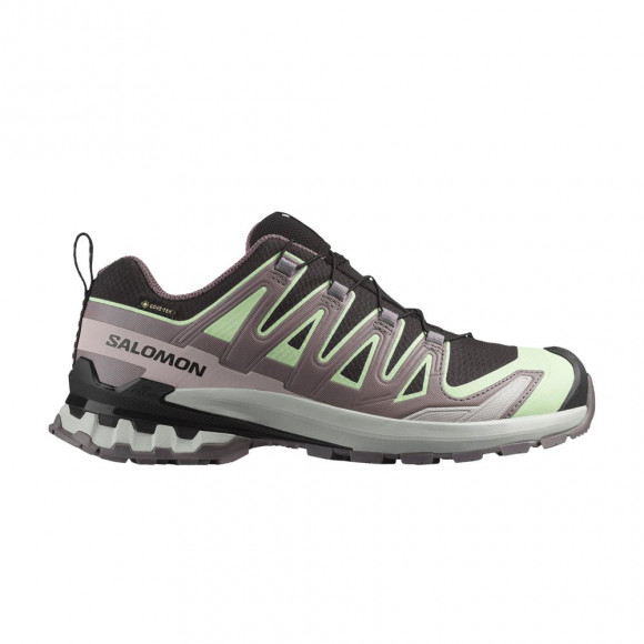 Salomon Wmns XA Pro 3D V9 GORE-TEX 'Black Grey Violet' | Women's Size 9 - L47882300