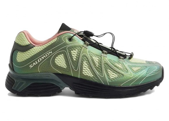 Salomon XT-Whisper Void END. Avocado - L49170300