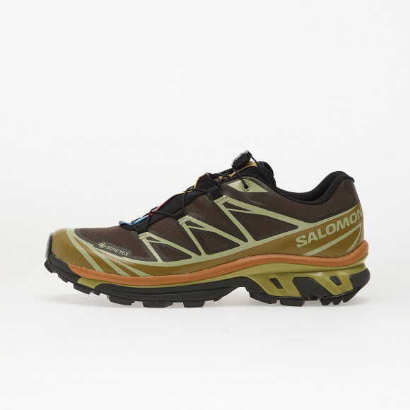 Sneakers Salomon XT-6 GTX Delicioso/ Tea/ Plantation - L49202100