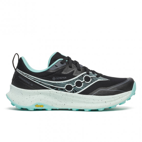 Saucony - Peregrine 16 GTX in Black - S11068-101