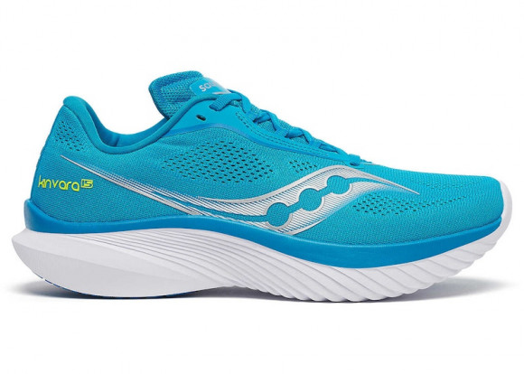 Men's Saucony Kinvara 15 ViZiBlue|White - S20967-221