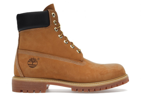 Timberland 6" Premium Waterproof Boot Wheat - TB010061-713/TB110061-713/TB1100617131-TB713